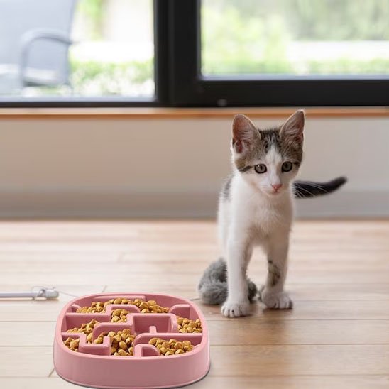 Gamelle anti-glouton chat utilisable en tout lieu