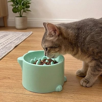 Gamelle anti-glouton chat vert menthe utilisé par un chat