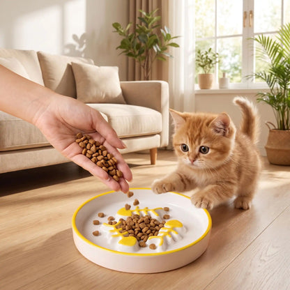 Gamelle anti glouton chaton orange s'approche d'une main offrant croquettes