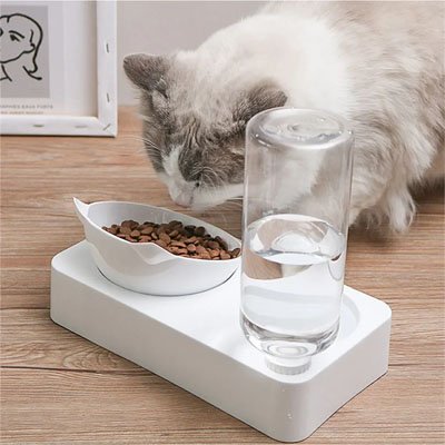 Gamelle Automatique Chat antidérapante