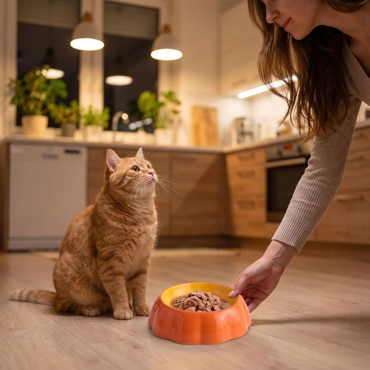 Gamelle ceramique pour chat déposer devant chat par une femme