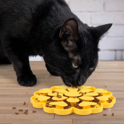 gamelle chat anti glouton avec croquettes dégusté par chat noir