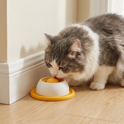 Gamelle Chat anti glouton avec surface texturée favorisant léchage naturel