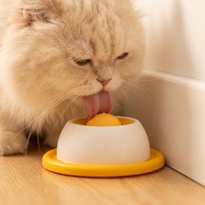 Gamelle Chat anti glouton Double fonction stimulation mentale et physique