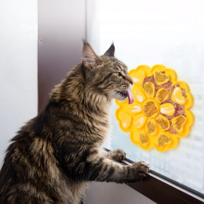 gamelle chat anti glouton fixé au mur léchée par chat