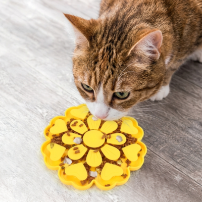 gamelle chat anti glouton regardé par chat grande taille