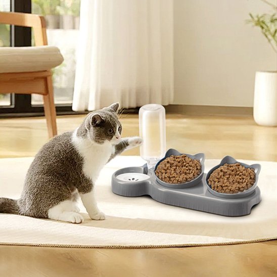 Gamelle chat avec inclinaison