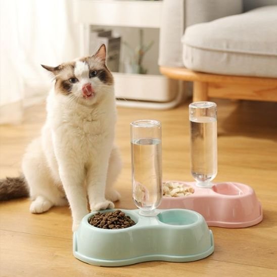 Gamelle chat bleu ciel