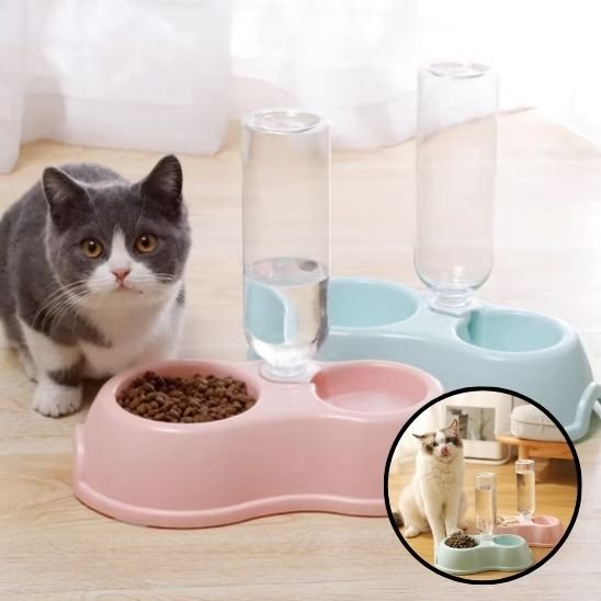 Gamelle chat pour chaton et chat adulte