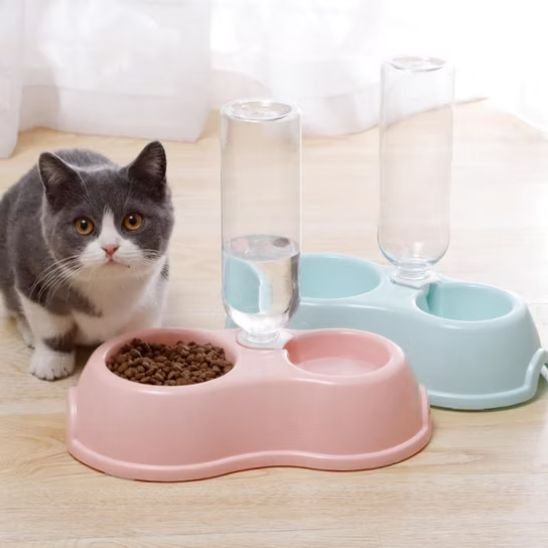 Gamelle chat pour tout type de chat