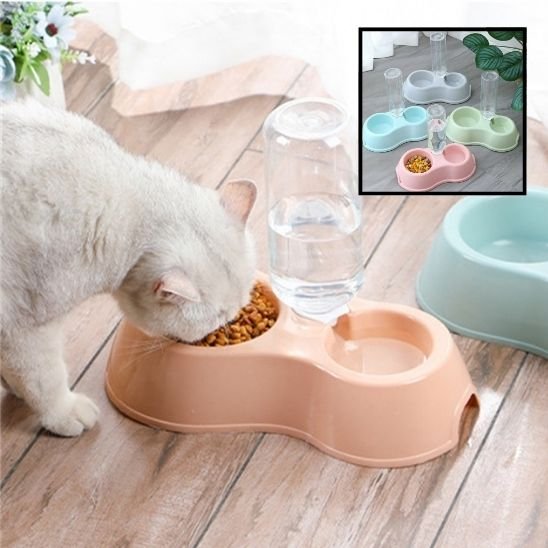 Gamelle chat pour une posture alimentaire confortable