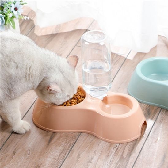 Gamelle chat rose bonbon