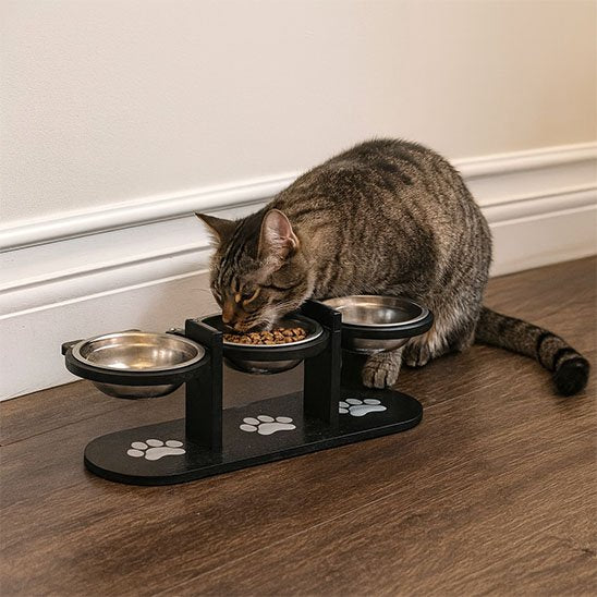 Gamelle Chat surélevée adaptée pour petits chats qui mange