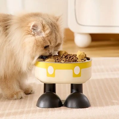 Gamelle chat surélevée avec croquettes mangé par chat position ergonomique