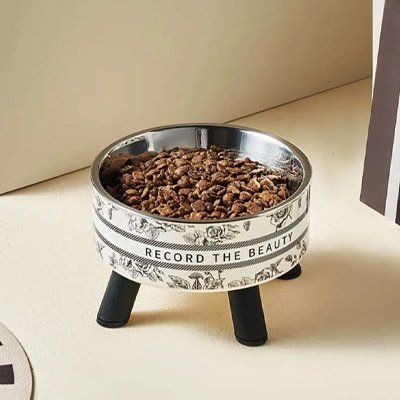 Gamelle Chat surélevée avec des croquettes dans décor minimaliste