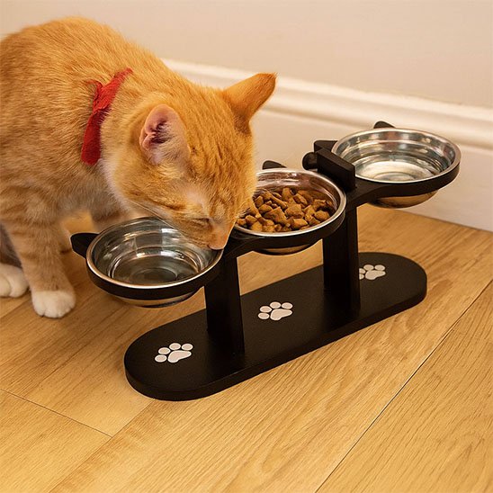 Gamelle Chat surélevée avec hauteur ajustable devant chat