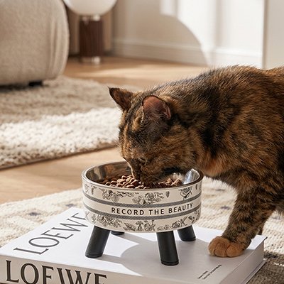 Gamelle Chat surélevée avec nourriture qui est dégusté par chat