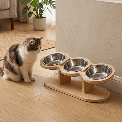 Gamelle Chat surélevée base en bois avec bols devant chat