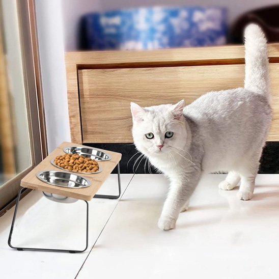 gamelle chat surélevée proche d'un chat blanc