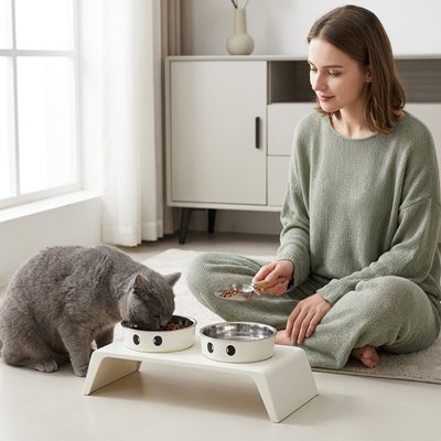 Gamelle Chat surélevée rempli nourriture que chat mange avec propriétaire