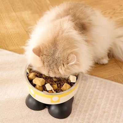 Gamelle chat surélevée remplis de croquettes dégusté par un chat