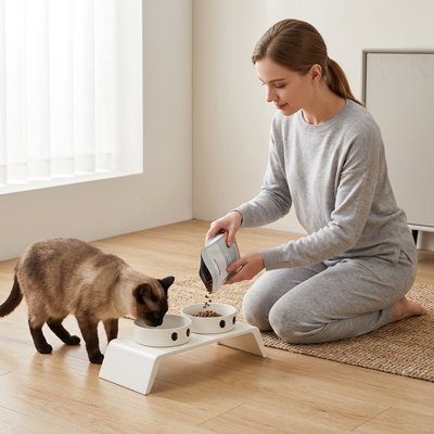 Gamelle Chat surélevée remplit de croquettes par propriétaire du chat