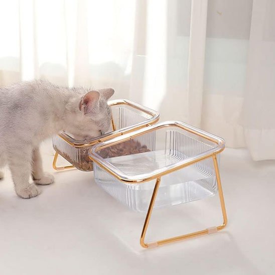 Gamelle chat Surélevée transparente double utiliser par chat blanc et gris