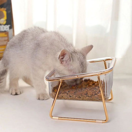 Gamelle chat Surélevée transparente utiliser par chat blanc et gris