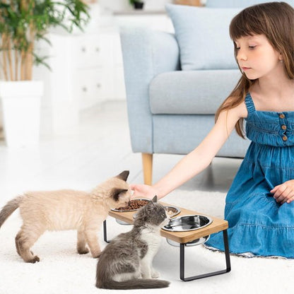 gamelle chat surélevée utilisé par deux chatons