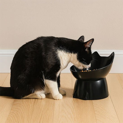 Gamelle Chat surélevée utiliser par chat noir et blanc affamé