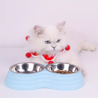 Gamelle double chat bleu pastel devant chat blanc
