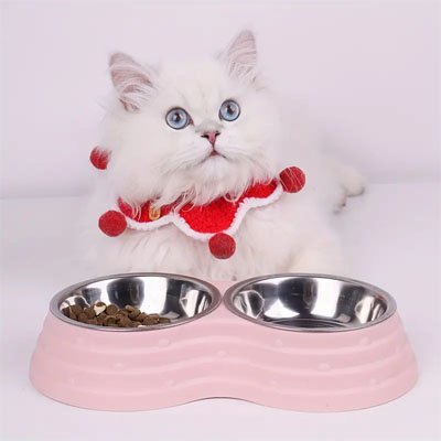 Gamelle double chat rose pastel devant chat blanc