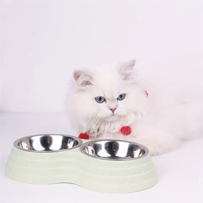 Gamelle double chat vert pastel devant chat blanc