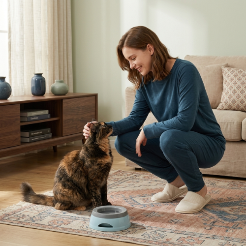 Gamelle eau chat posée près d'une femme caressant son chat
