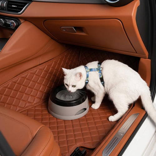 Gamelle eau chat utilisée par un chat blanc en voiture