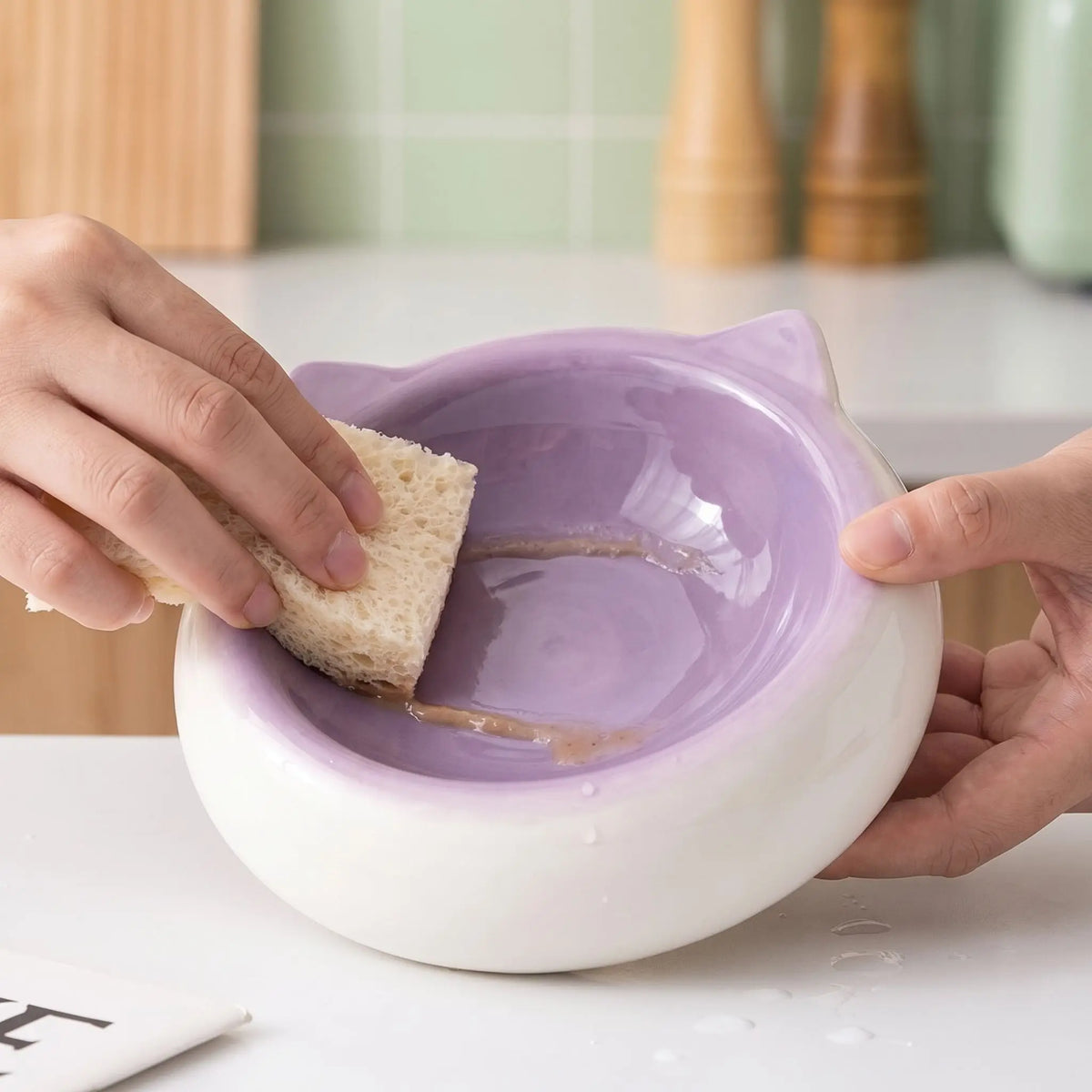 gamelle en ceramique pour chat lavée avec une éponge humide