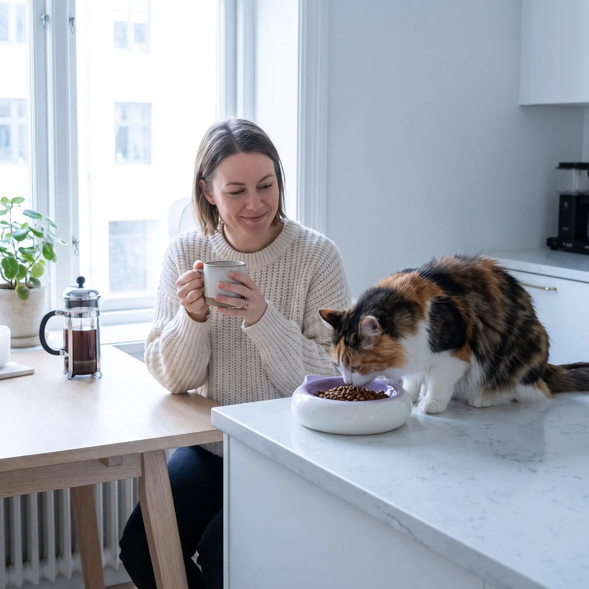 gamelle en ceramique pour chat utilisée sur un comptoir de cuisine