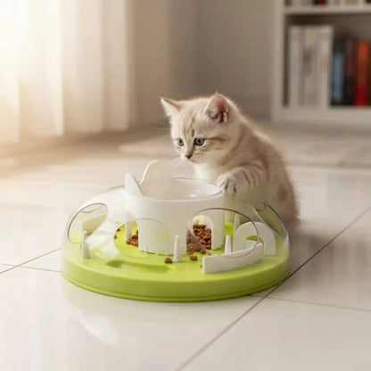 gamelle ludique chat chaton jouant avec croquettes salon