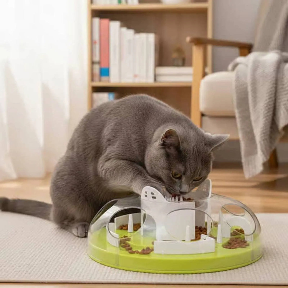 gamelle ludique chat utilisée par un chat gris au salon