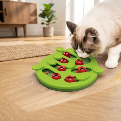 gamelle ludique pour chat explorée par chat blanc au salon