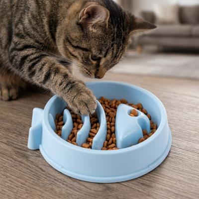 gamelle pour chat anti glouton utiliser par chat avec patte