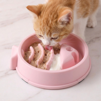 gamelle pour chat anti glouton utiliser par chaton léchant pâtée