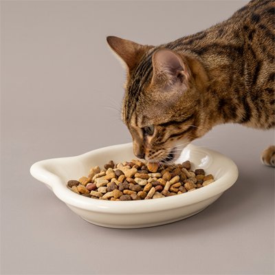 Gamelle pour chat blanche avec croquettes mangées par un chat