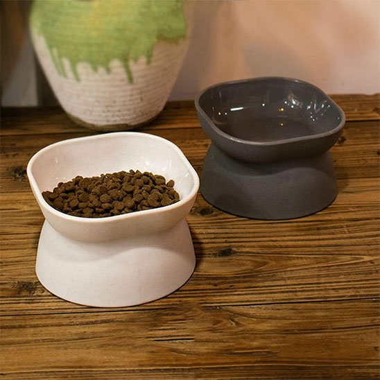 gamelle pour chat surélevée avec nourriture et eau
