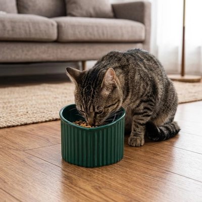 Gamelle pour Chat surélevée avec un chat qui mange devant sofa