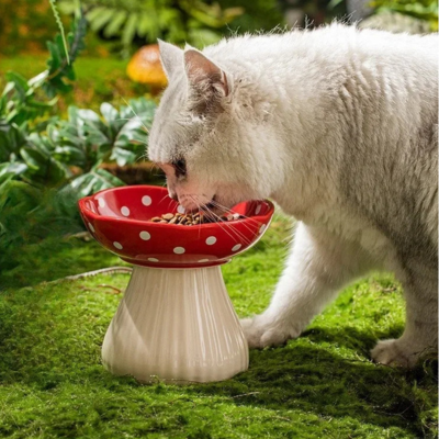 gamelle pour chat surélevée champignon chat mange jardin