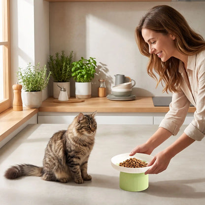 Gamelle pour chat surélevée posée devant un chat par une femme souriante