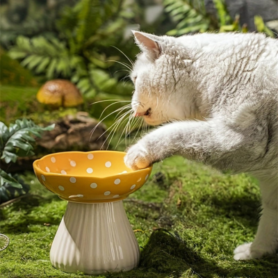 gamelle pour chat surélevée utilisée par chat blanc en jardin