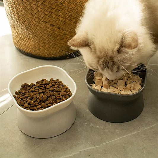 gamelle pour chat surélevée utiliser par chat mange nourriture humide