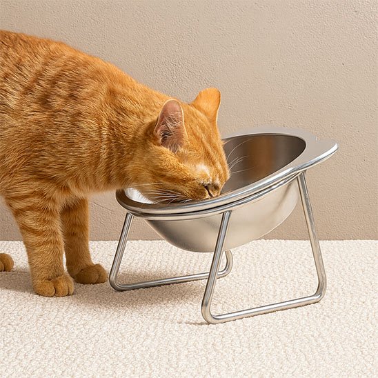 Gamelle pour chat surélevée utiliser par chat roux qui mange 